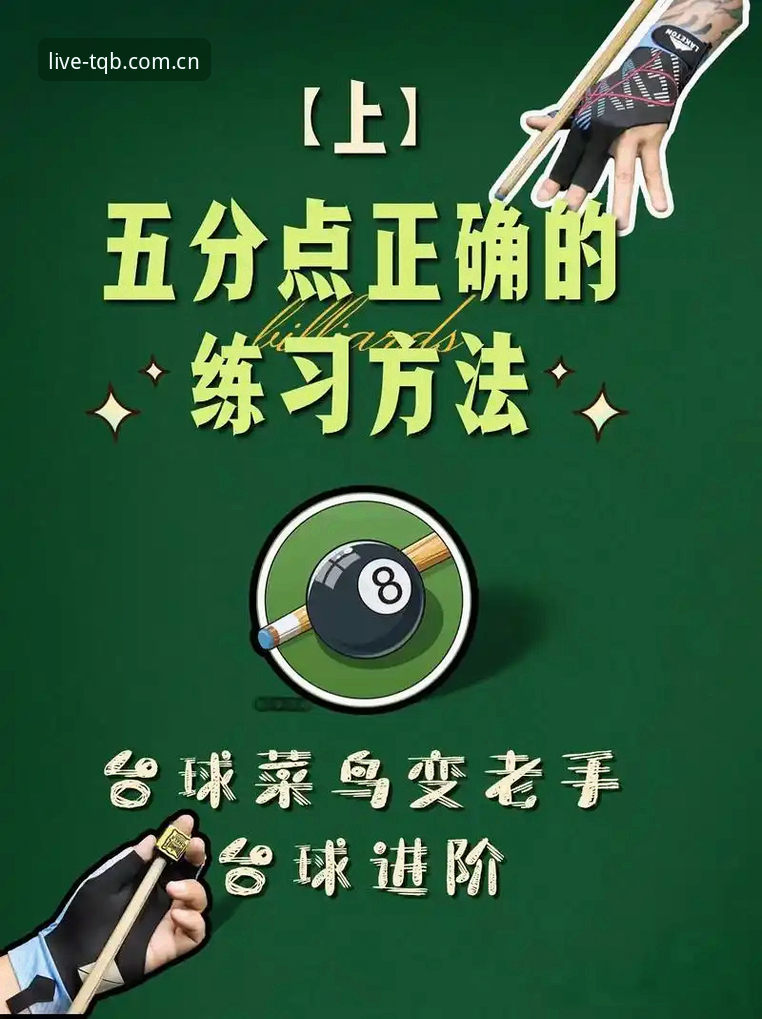 5个谈球吧官网高效使用技巧：从新手到老手的完整攻略