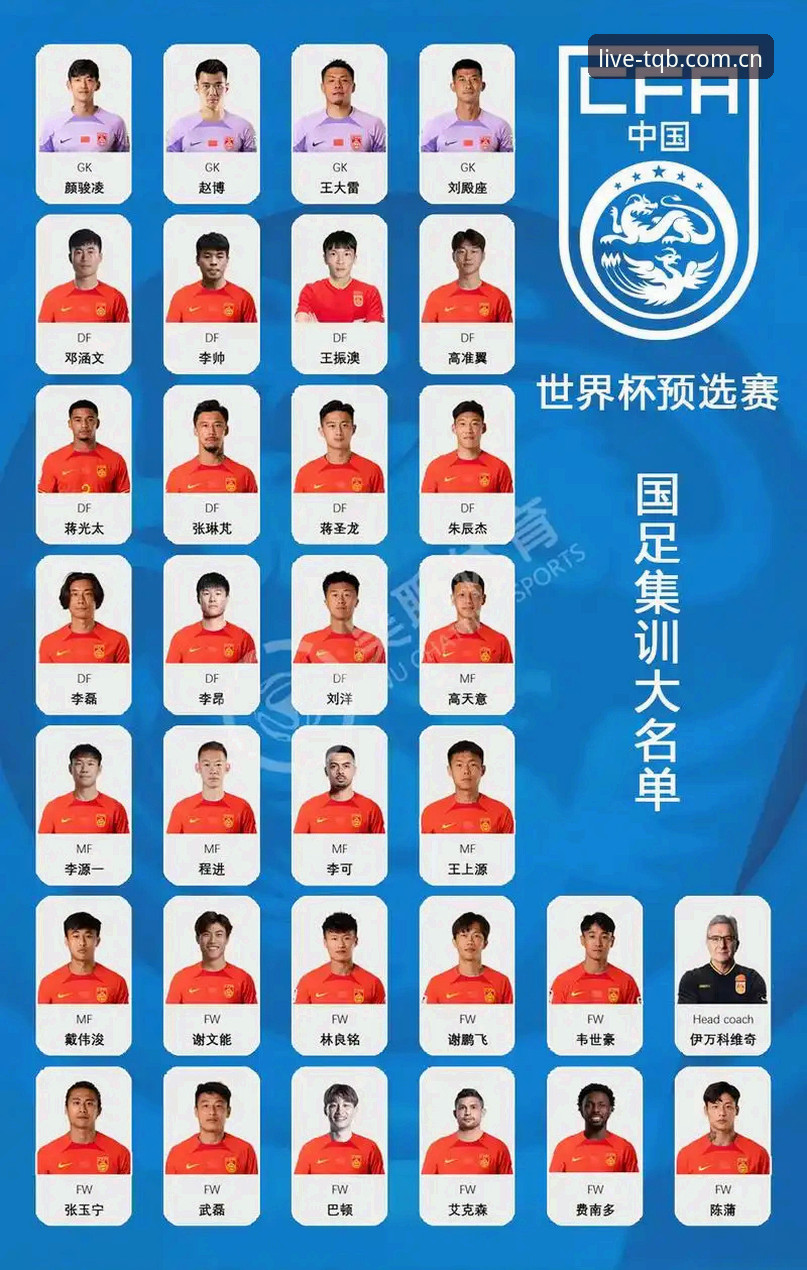 TQB官方网站安装失败 中国足协第三批禁足名单详解——资深球迷孙浩的观赛视角