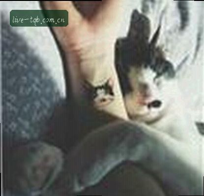 陈昊